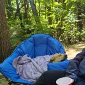 Review photo of The Pine Campground by mike B., October 18, 2022