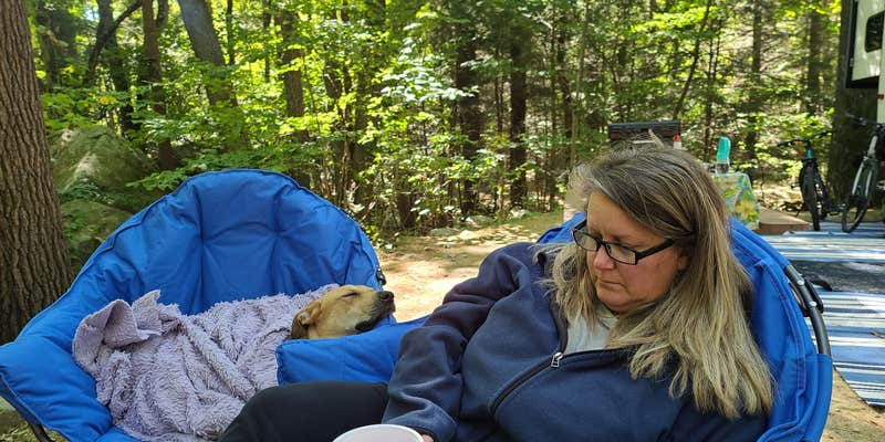 Camper submitted image from The Pine Campground