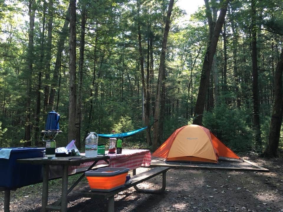 Carrie W.'s photo of tent camping at Pine Grove Campground near Smethport, PA