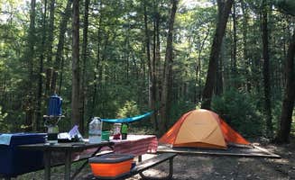Carrie W.'s photo at Pine Grove Campground near Lewis Run, PA
