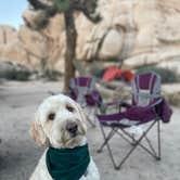 Review photo of Hidden Valley Campground — Joshua Tree National Park by Vanessa C., October 18, 2022