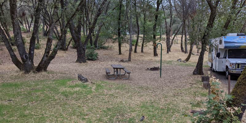 Camper submitted image from COE Mendocino Lake Bu-Shay Campground