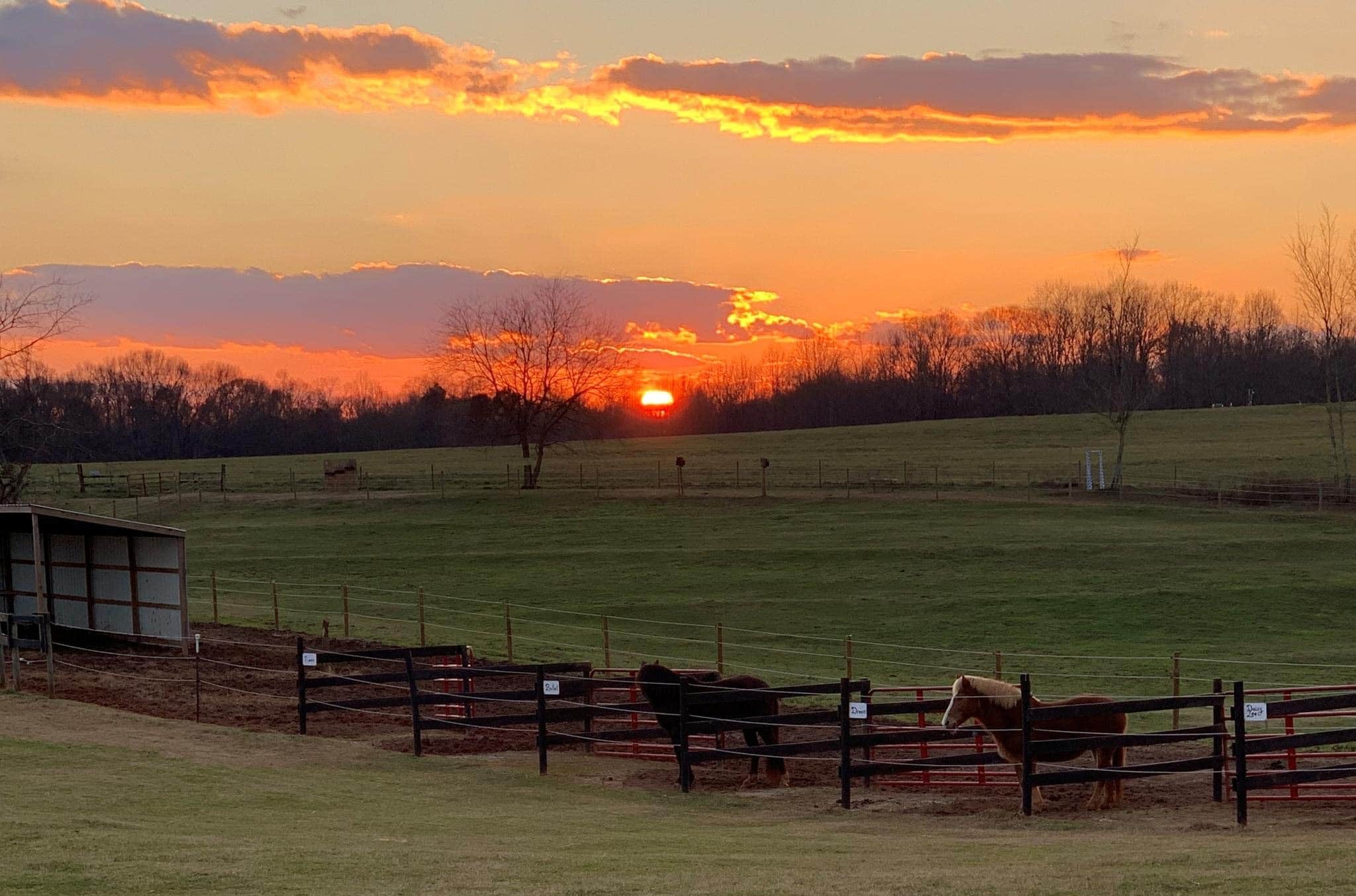 Camper-submitted photo at Hoppin Horse Farm RV site near Hartwell, GA