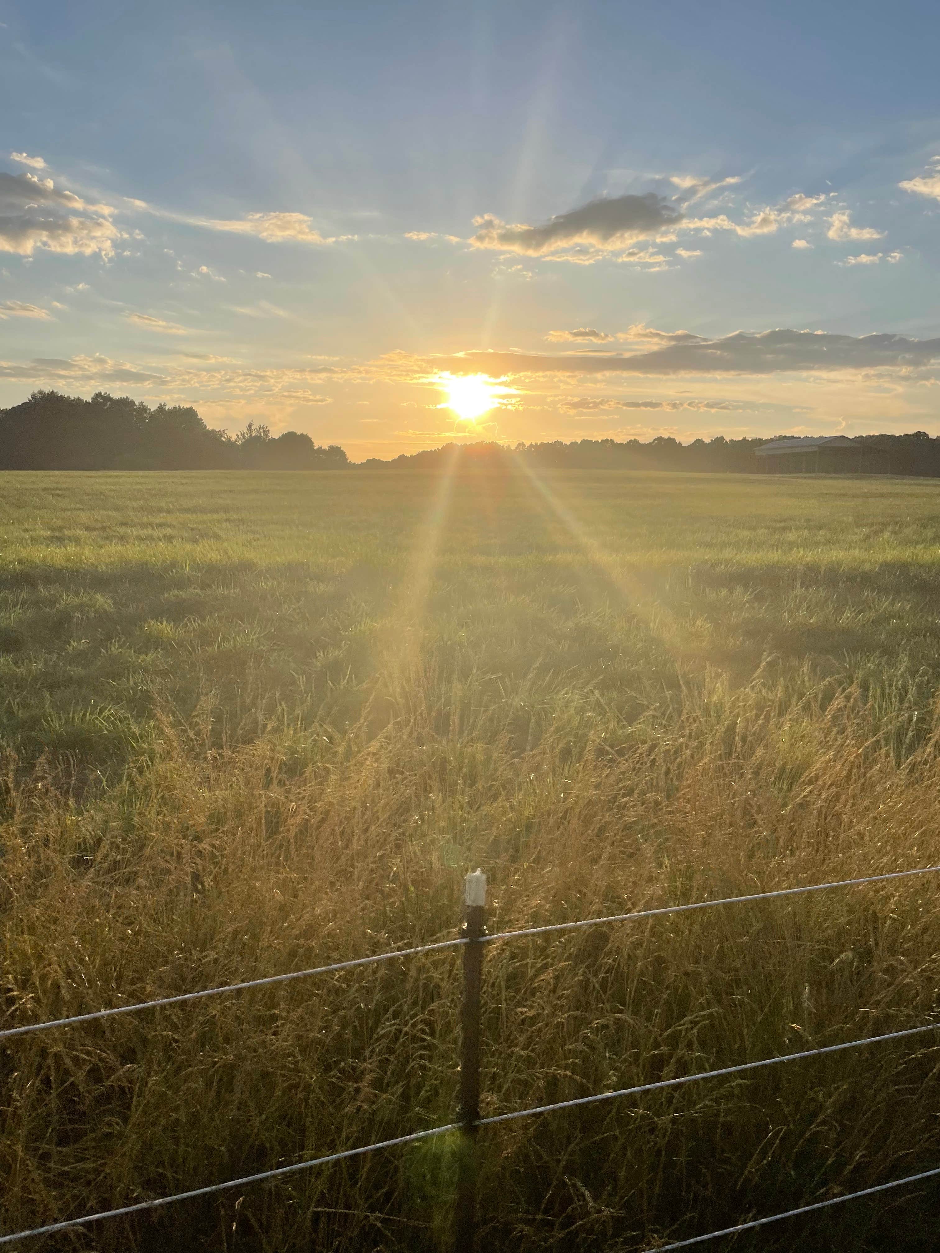 Camper-submitted photo at Hoppin Horse Farm RV site near Hartwell, GA