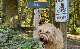 Cammie E.'s photo of camping with pets at Larrabee State Park Campground near Maple Falls, WA