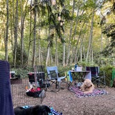 Review photo of Larrabee State Park Campground by Cammie E., October 18, 2022
