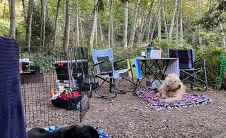 Cammie E.'s photo at Larrabee State Park Campground near Lynden, WA