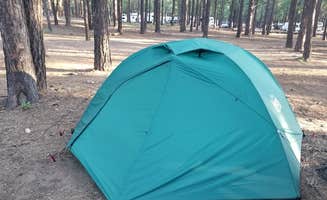 Christina S.'s photo at Fort Tuthill Luke AFB Recreation Area near Flagstaff, AZ