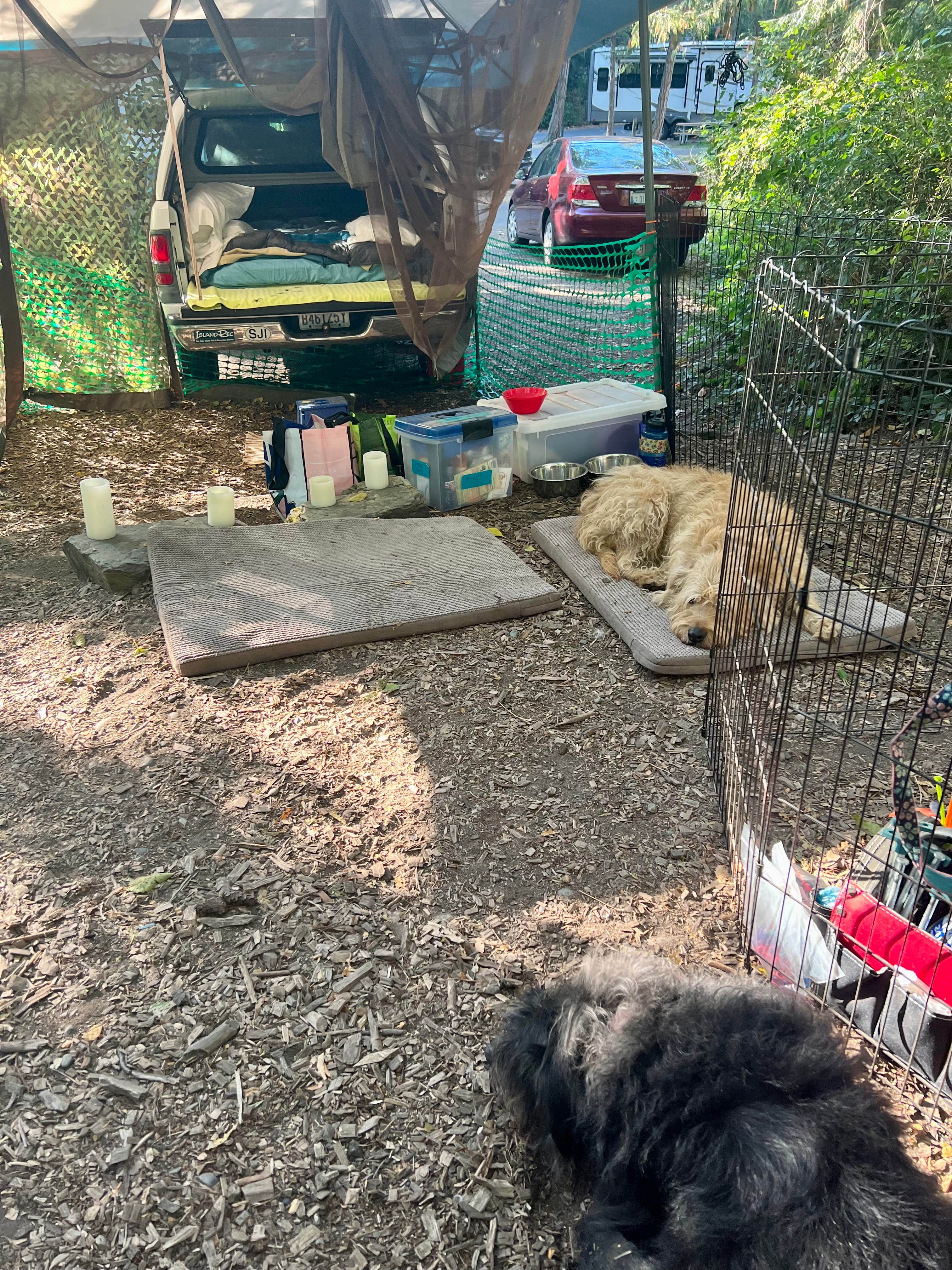 Cammie E.'s photo of camping with pets at Larrabee State Park Campground near Lynden, WA