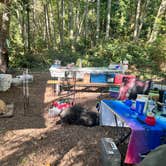 Review photo of Larrabee State Park Campground by Cammie E., October 18, 2022