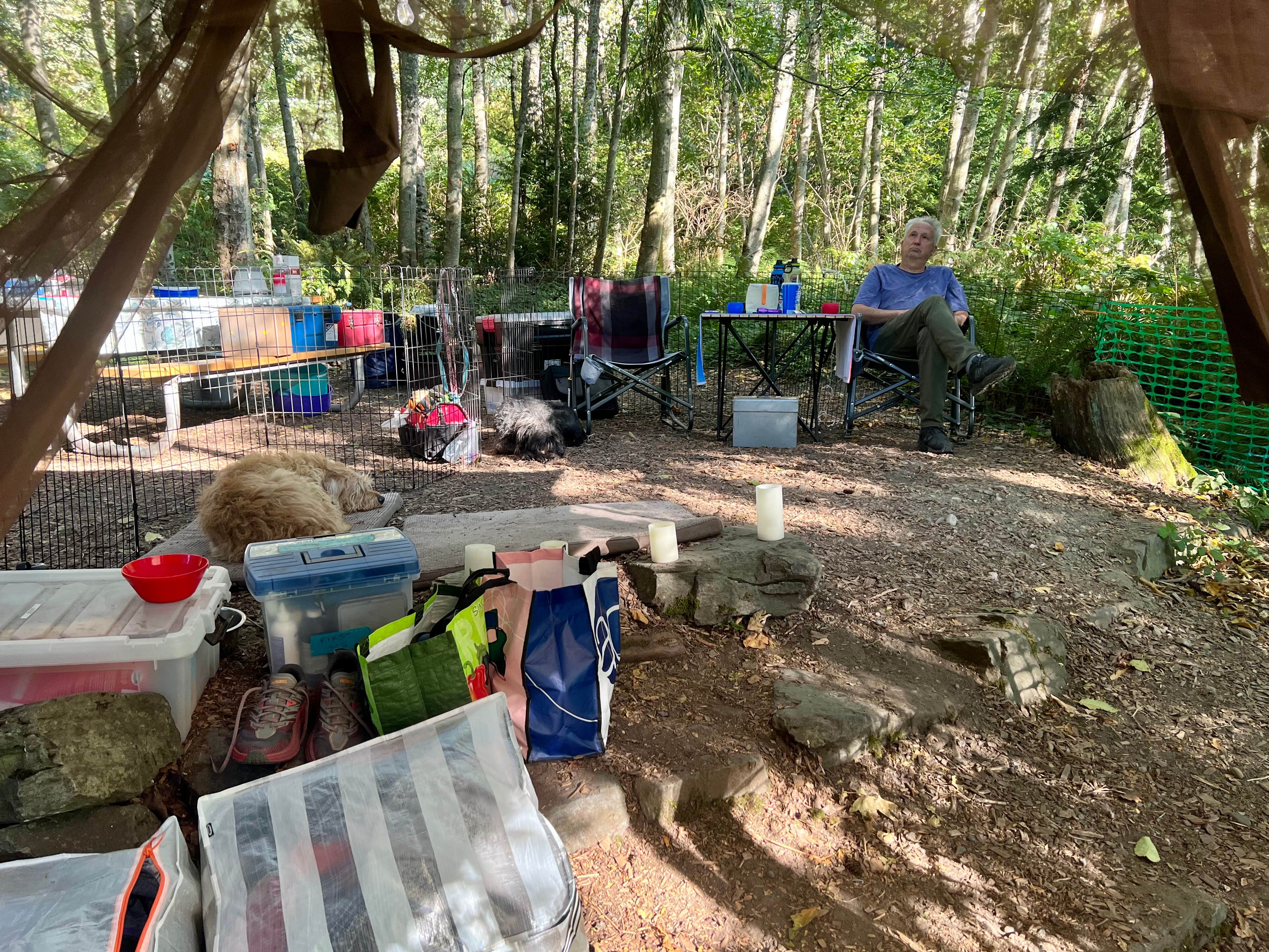 Cammie E.'s photo at Larrabee State Park Campground near Clearlake, WA