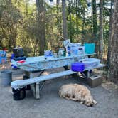 Review photo of Deception Pass State Park Campground by Cammie E., October 18, 2022