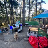 Review photo of Deception Pass State Park Campground by Cammie E., October 18, 2022