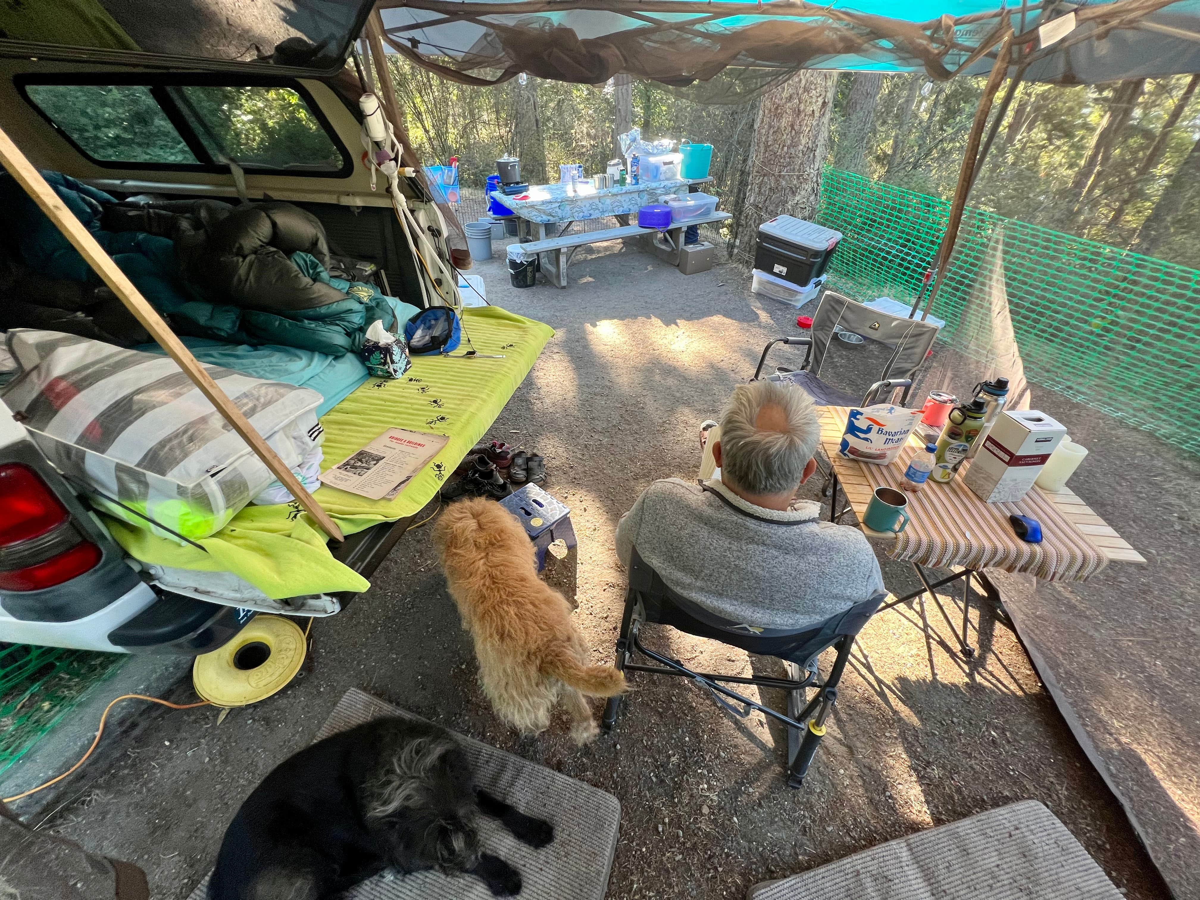 Cammie E.'s photo of camping with pets at Deception Pass State Park Campground near Mount Vernon, WA