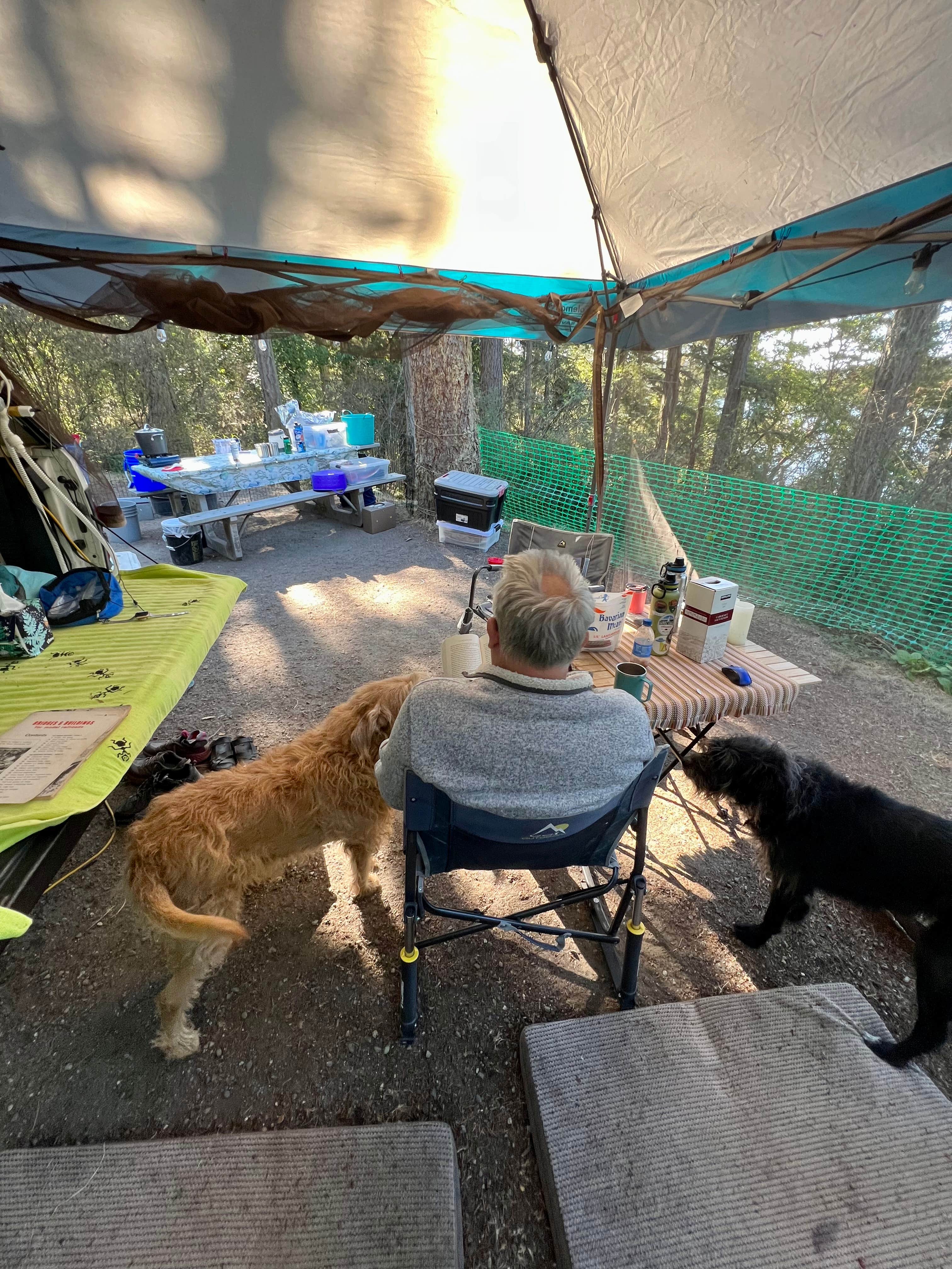 Cammie E.'s photo of camping with pets at Deception Pass State Park Campground in Washington