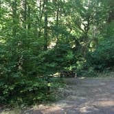Review photo of Trout Creek Campground by Kelly N., September 8, 2018