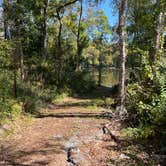 Review photo of Camp Sherrye on the Coosa by Brittany V., October 18, 2022