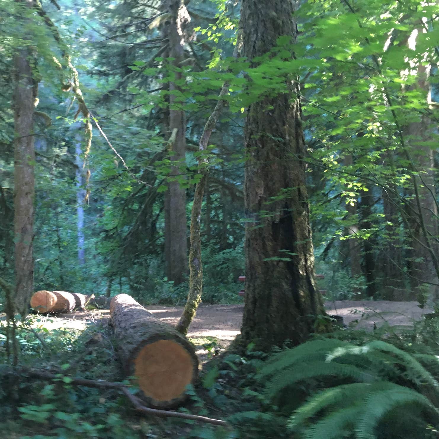 Trout Creek Campground Camping The Dyrt