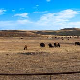 Review photo of Legion Lake Campground — Custer State Park by Lawrence P., October 18, 2022