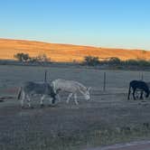 Review photo of Legion Lake Campground — Custer State Park by Lawrence P., October 18, 2022