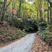 Review photo of Avery Creek Roadside Camping by Jennifer S., October 18, 2022