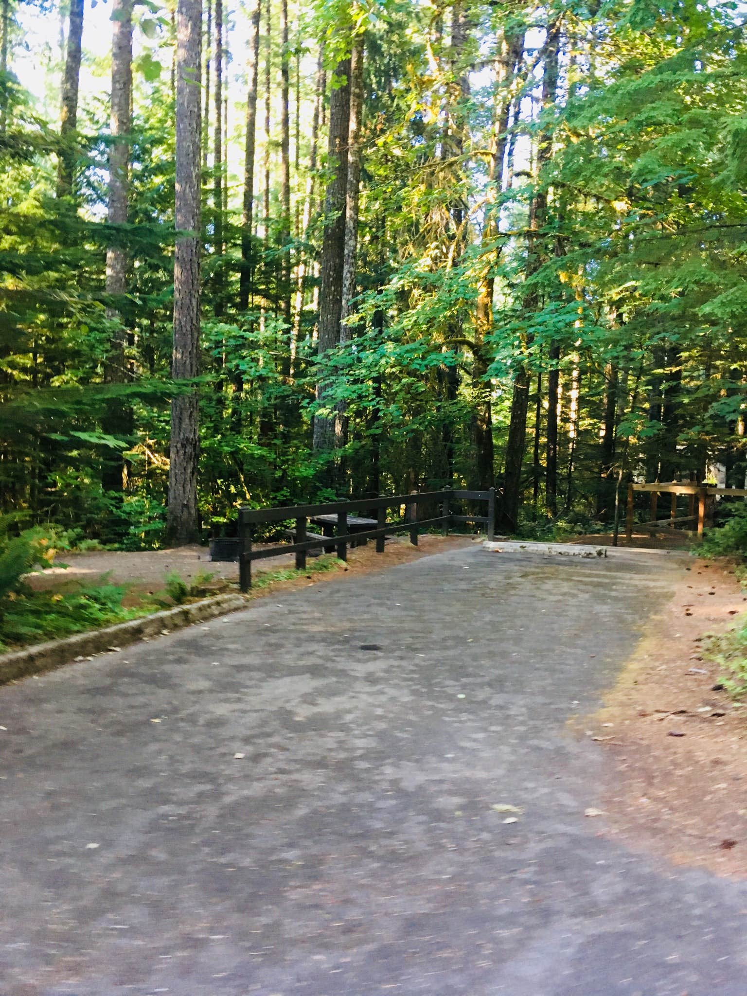 Camper submitted image from Cove Creek - 3
