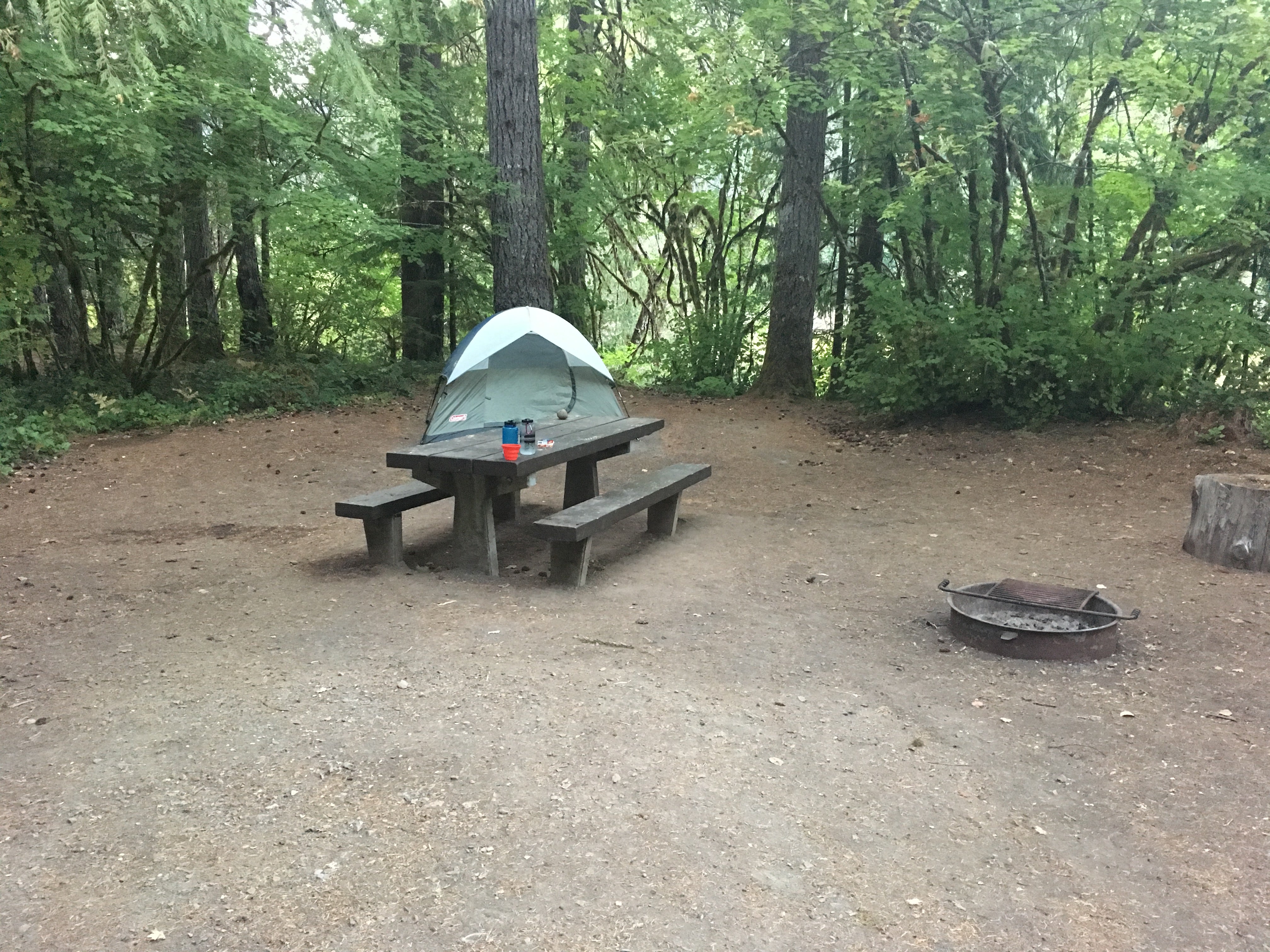 Camper submitted image from Hoover Campground - 3