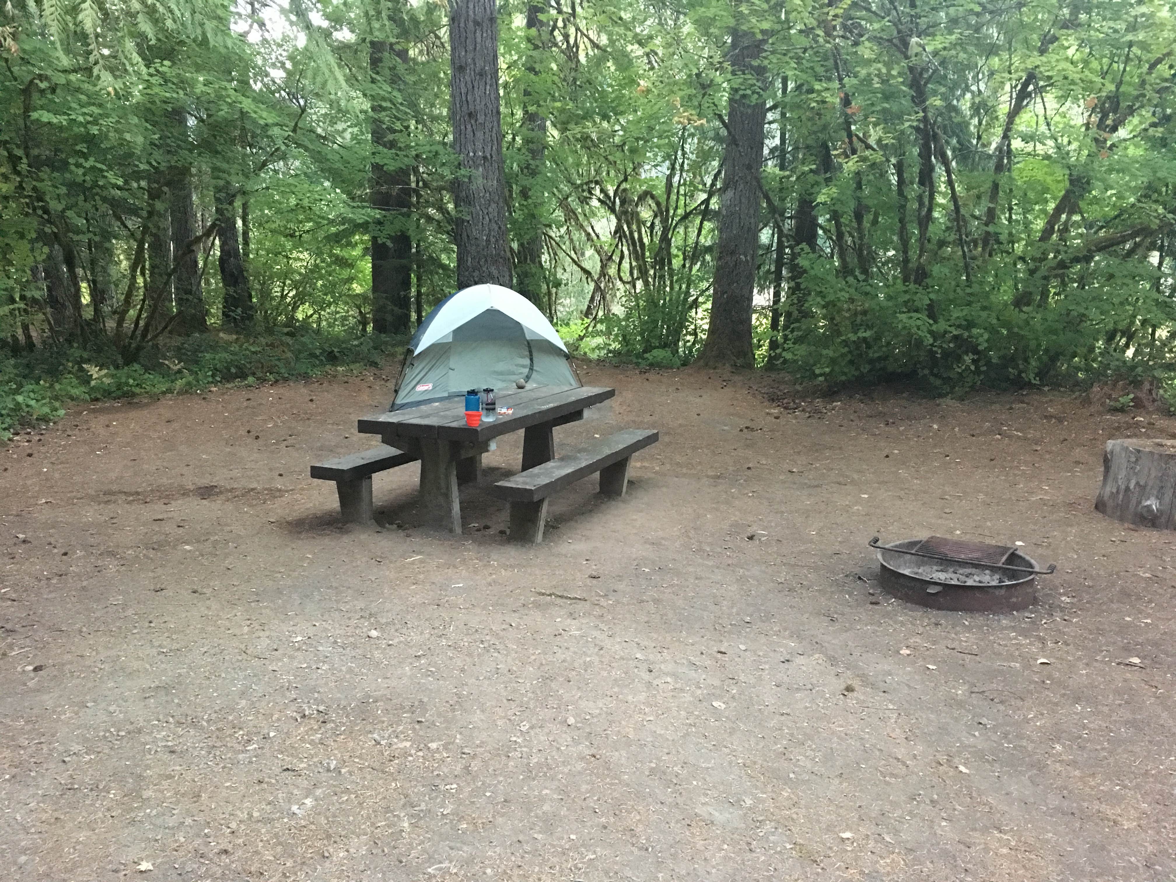 Hoover Campground Idanha, OR