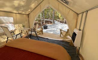 The Dyrt's photo at Tentrr Signature Site - Mountain Memories Retreat - Mama Bear Site near Pickens, SC