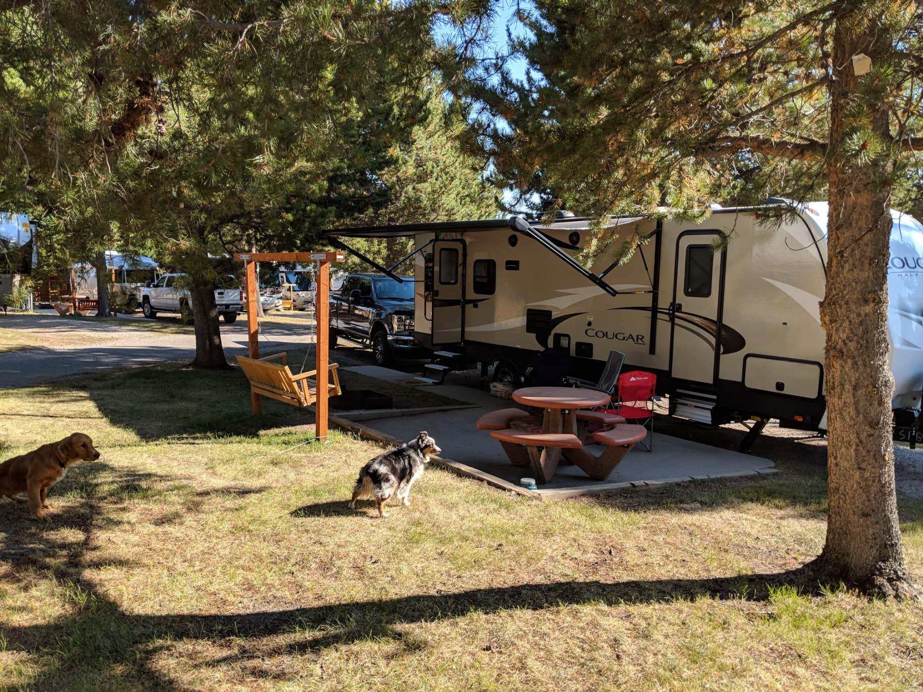Catherine G.'s photo of camping with pets at Yellowstone Park / West Gate KOA Holiday near Yellowstone National Park
