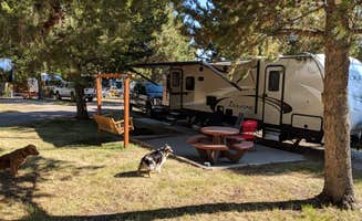 Catherine G.'s photo of camping with pets at Yellowstone Park / West Gate KOA Holiday near Yellowstone National Park