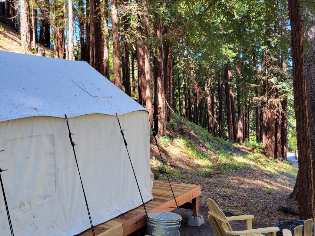 Camper submitted image from Tentrr Signature Site - Redwood Grove A - 1
