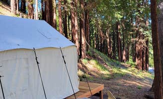 The Dyrt's photo at Tentrr Signature Site - Redwood Grove A near New Almaden, CA