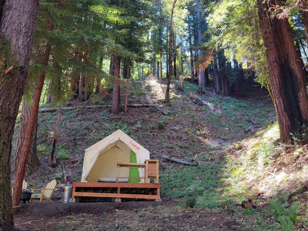 The Dyrt's photo of camping with pets at Tentrr Signature Site - Redwood Grove A near San Jose, CA