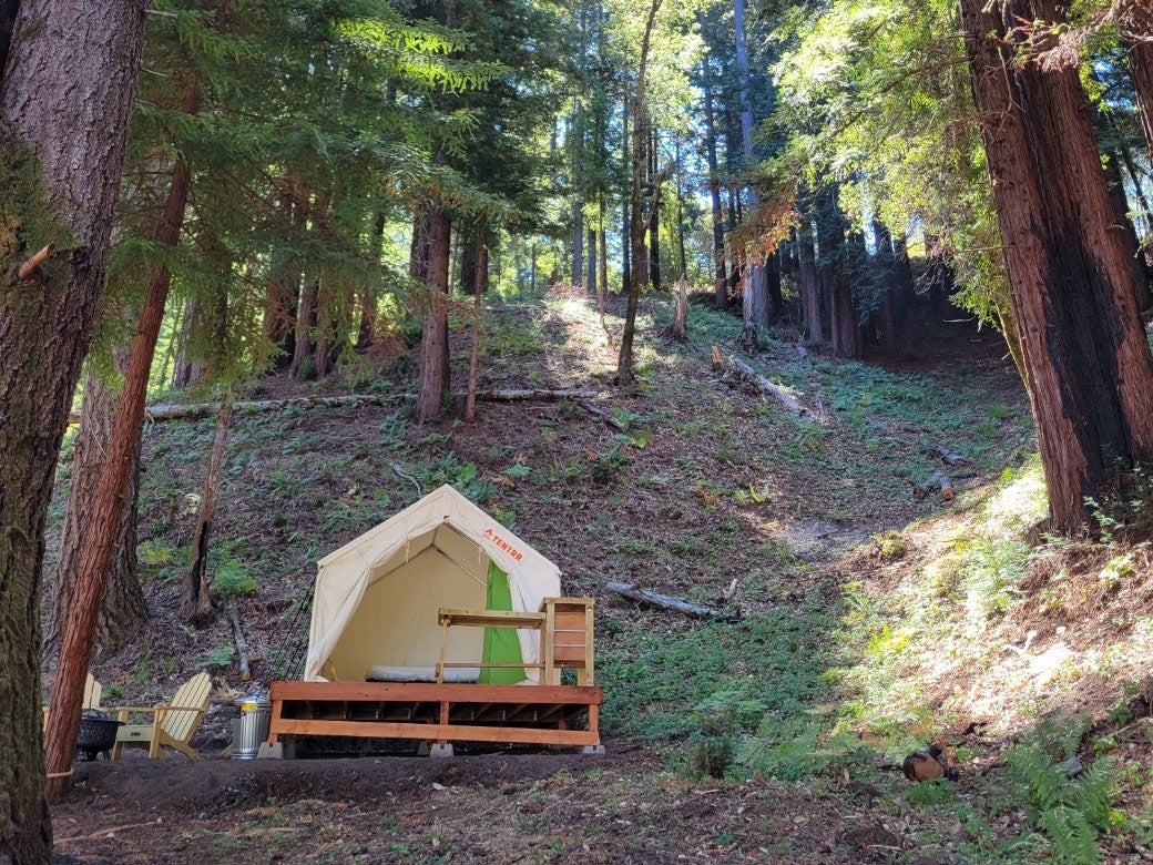 Camper submitted image from Tentrr Signature Site - Redwood Grove A - 2