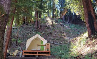 The Dyrt's photo of camping with pets at Tentrr Signature Site - Redwood Grove A near Santa Cruz, CA