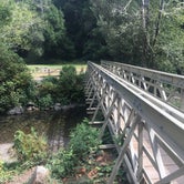 Review photo of Humbug Mountain State Park by Brittney   G., September 8, 2018