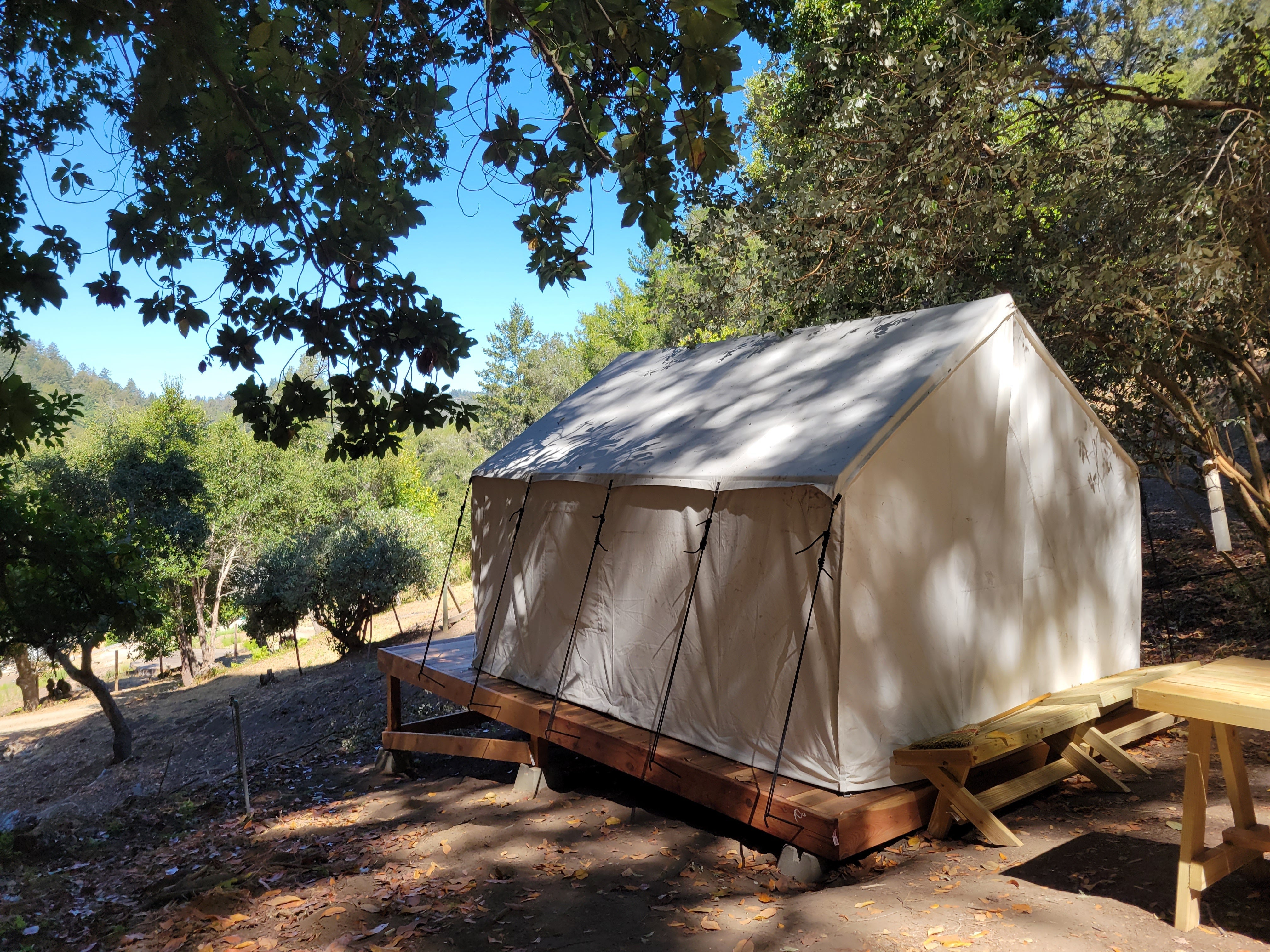 Camper submitted image from Tentrr Signature Site - Avocado Grove C - 1