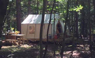 The Dyrt's photo at Tentrr Signature Site - Pine Spirit near Whitney Point, NY