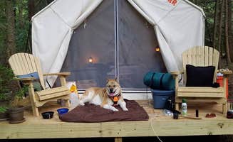 The Dyrt's photo of camping with pets at Tentrr Signature Site - Adirondack - Coleman Outfitted Site near Cortland, NY