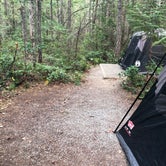 Review photo of Goodell Creek Campground — Ross Lake National Recreation Area by Sara S., September 8, 2018
