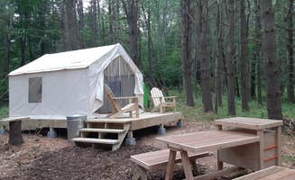 The Dyrt's photo at Tentrr Signature Site - Forest Farm Waterfall Camp Site near Cobleskill, NY