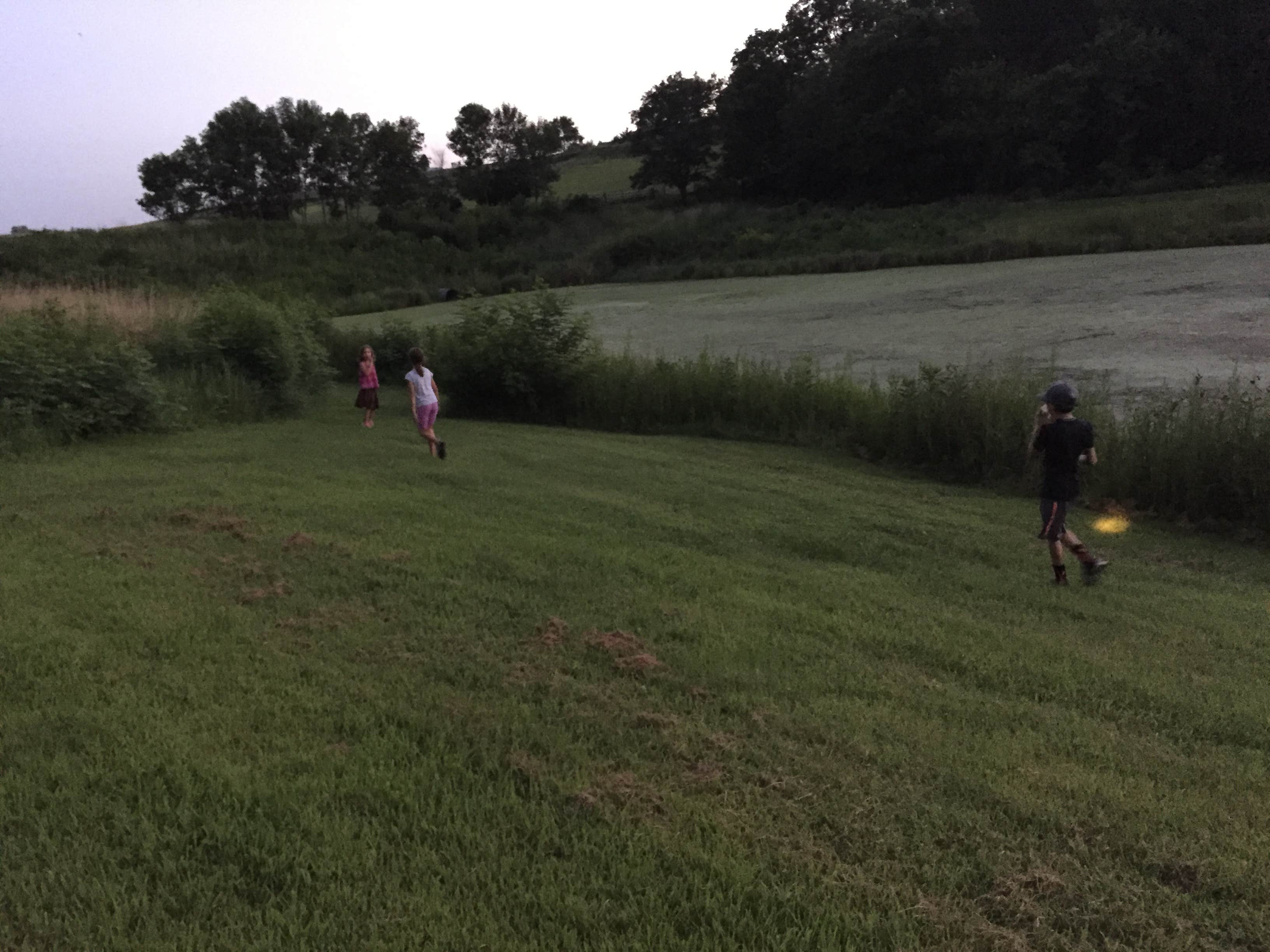 Looking for frogs at the small pond. 