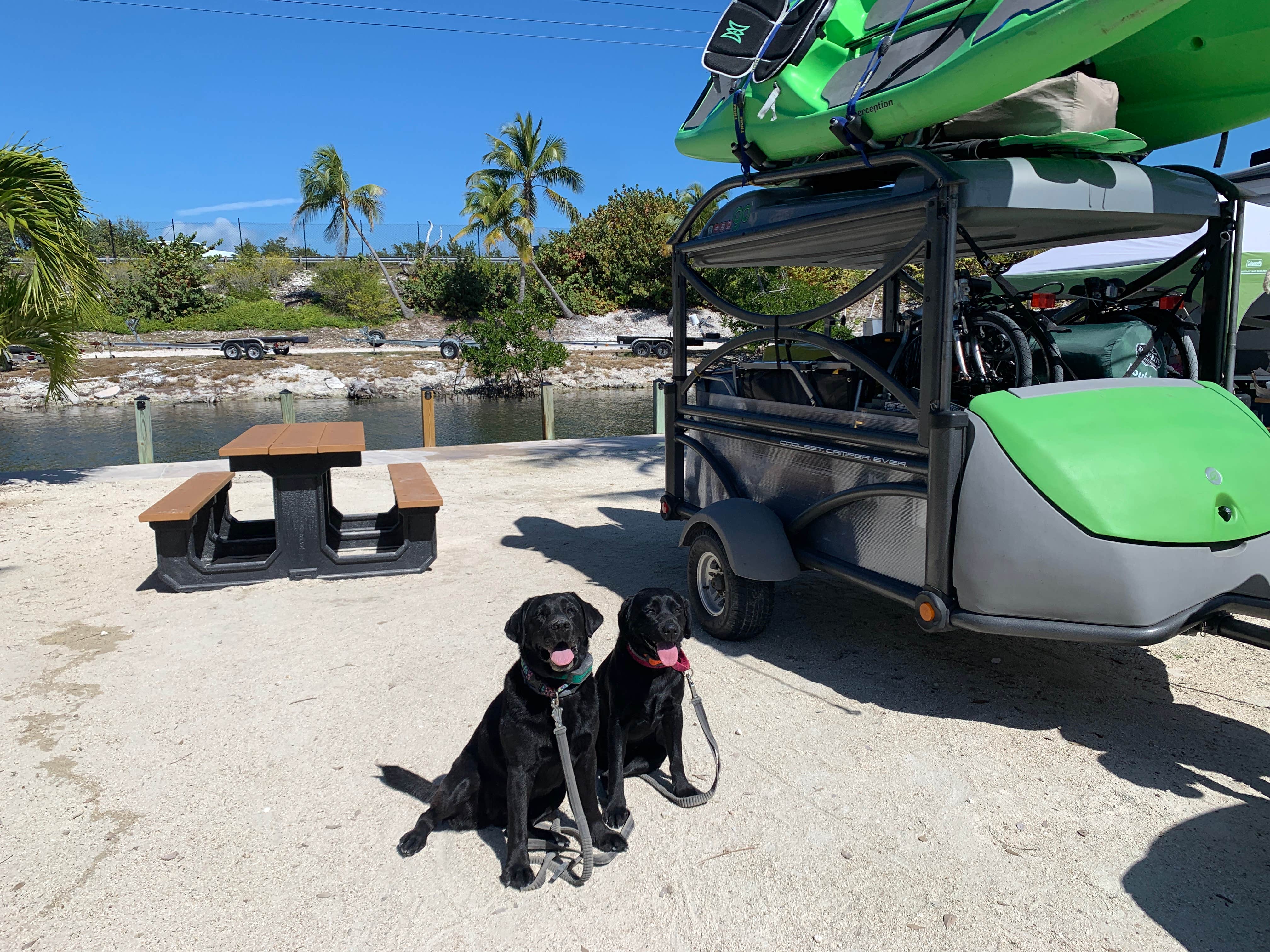 Laurie H.'s photo of camping with pets at Big Pine Key RV Park near Key West, FL