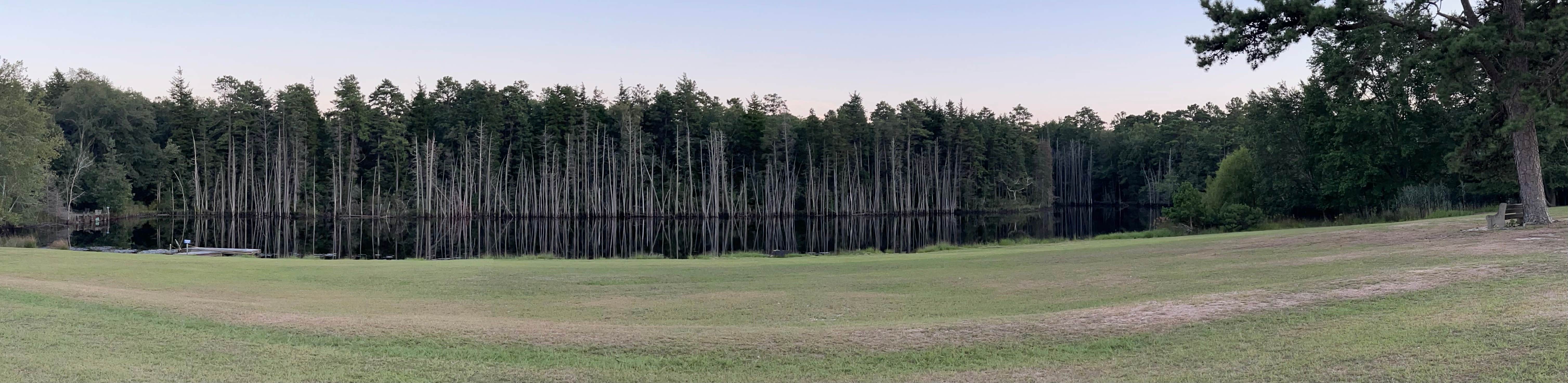 Camper-submitted photo at Brookville Campground near Barnegat Light, NJ