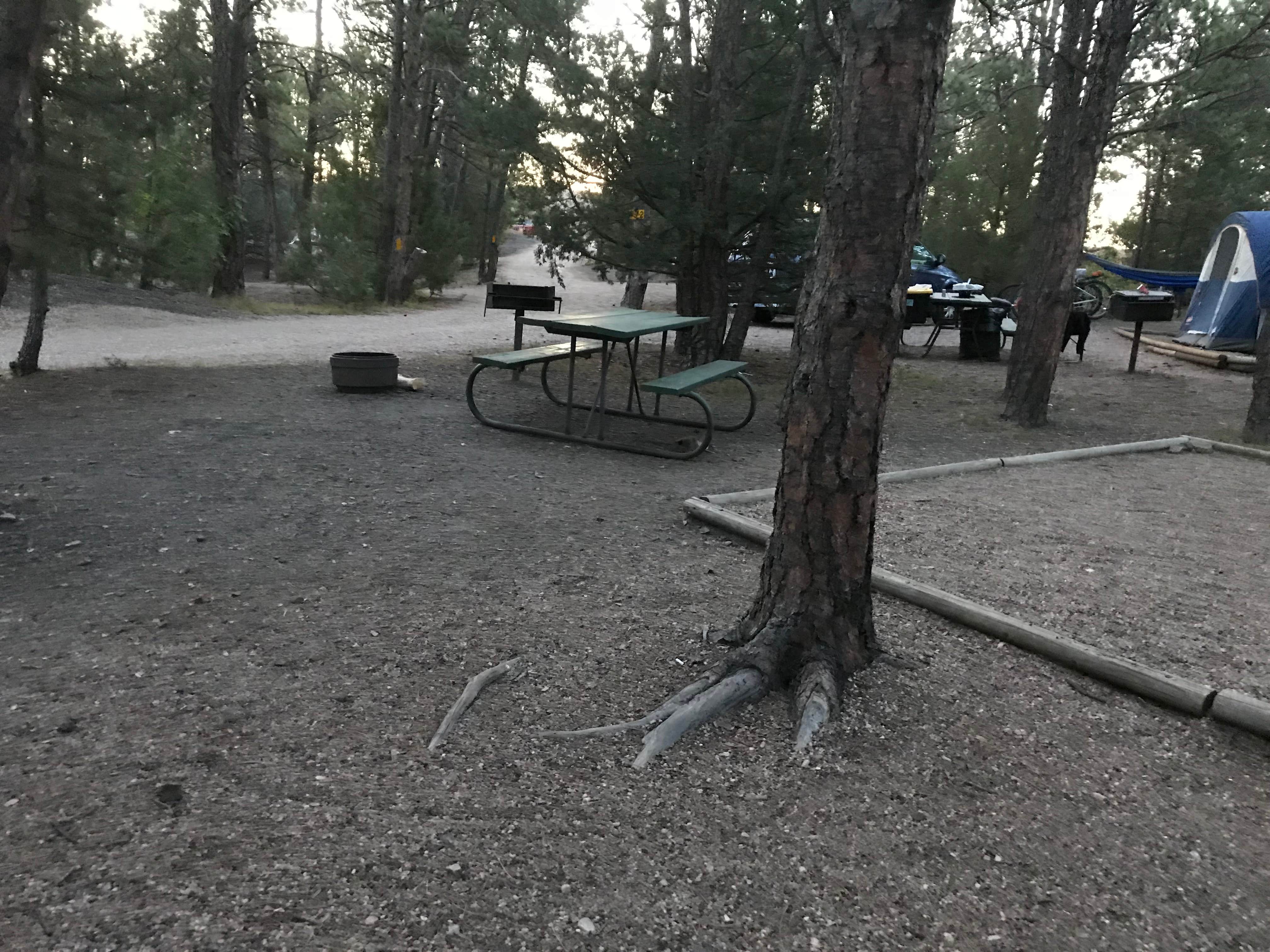 Tonia M.'s photo at Hot Springs / Black Hills KOA near Chadron, NE