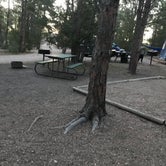 Review photo of Hot Springs / Black Hills KOA by Tonia M., September 8, 2018