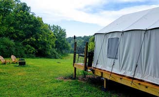 The Dyrt's photo at Tentrr Signature Site - Evensong Farm - Autumn Olive - Coleman Outfitted Site near Braddock Heights, MD