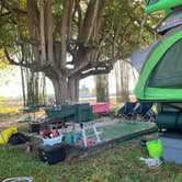 Review photo of Encore Miami Everglades by Laurie H., October 18, 2022