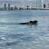 Review photo of Encore Miami Everglades by Laurie H., October 18, 2022